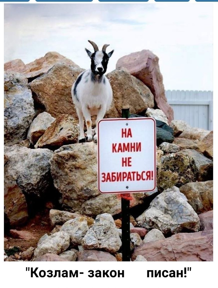 НЕ ЗАБИРАТЬСЯ _ 71 Козлам закон писан