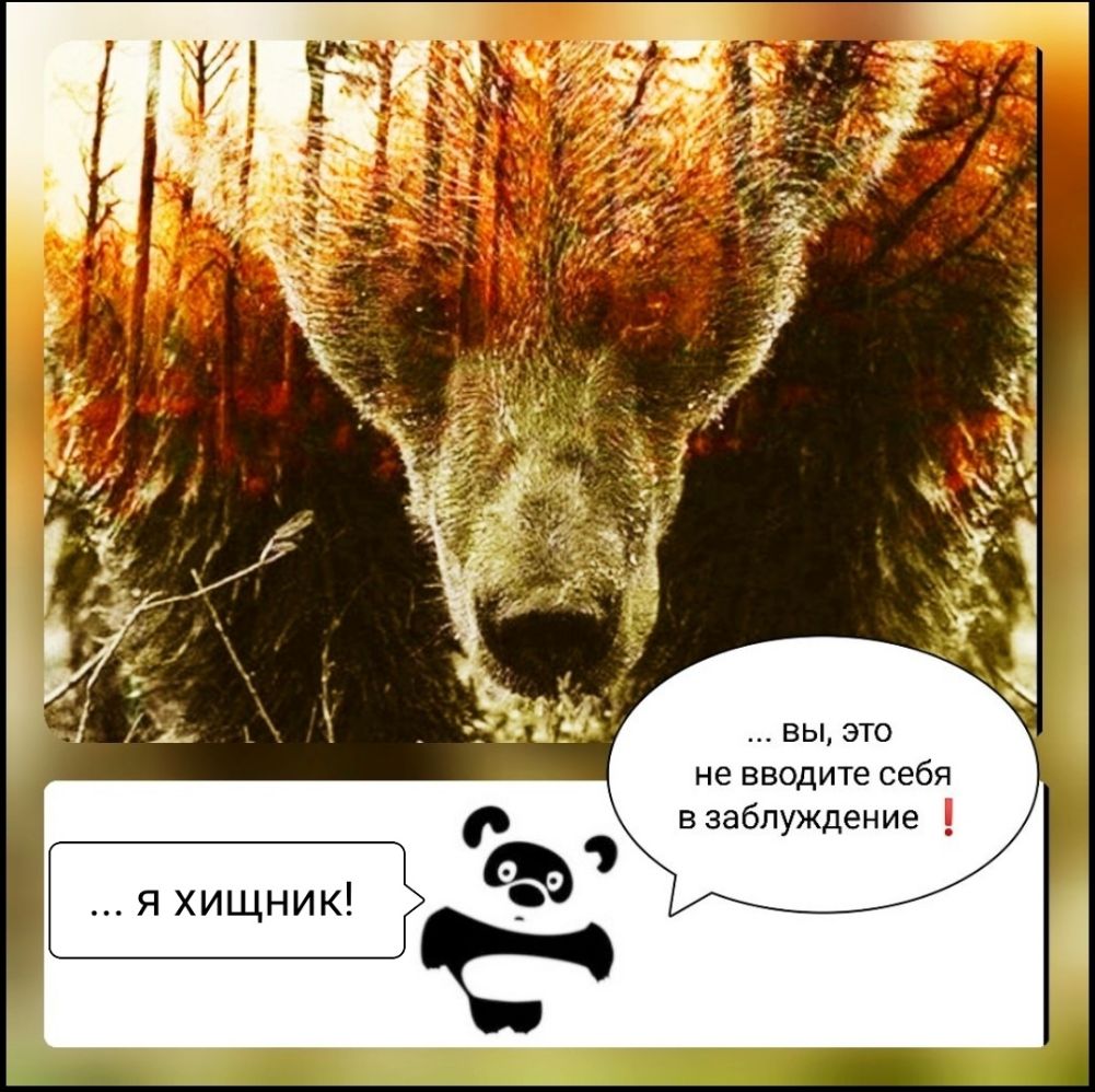 Я фе 06 ите 1Ип ьд ВОУ ВЛ Вмт 3 В