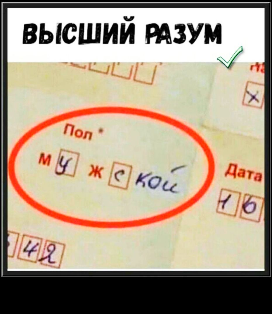высший шум