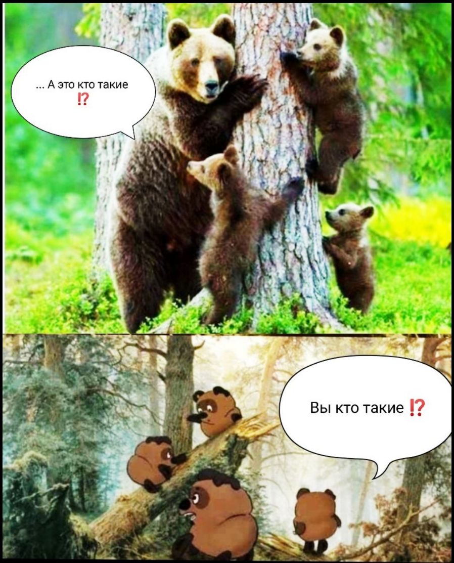 Э И К а т т ю Э А