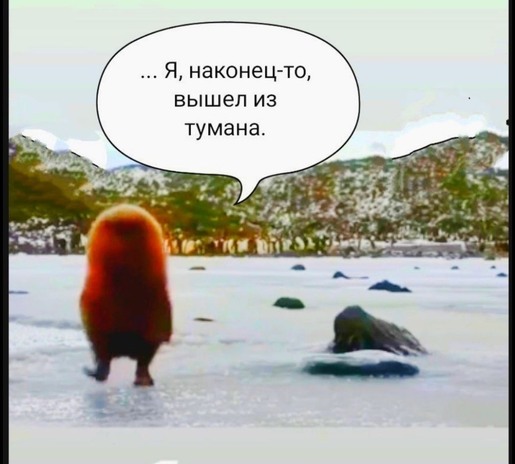 Я наконец то вышел из тумана