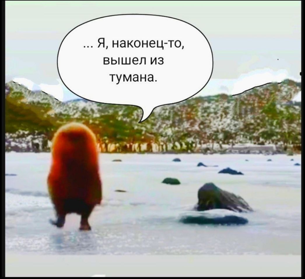 Я наконец то вышел из тумана