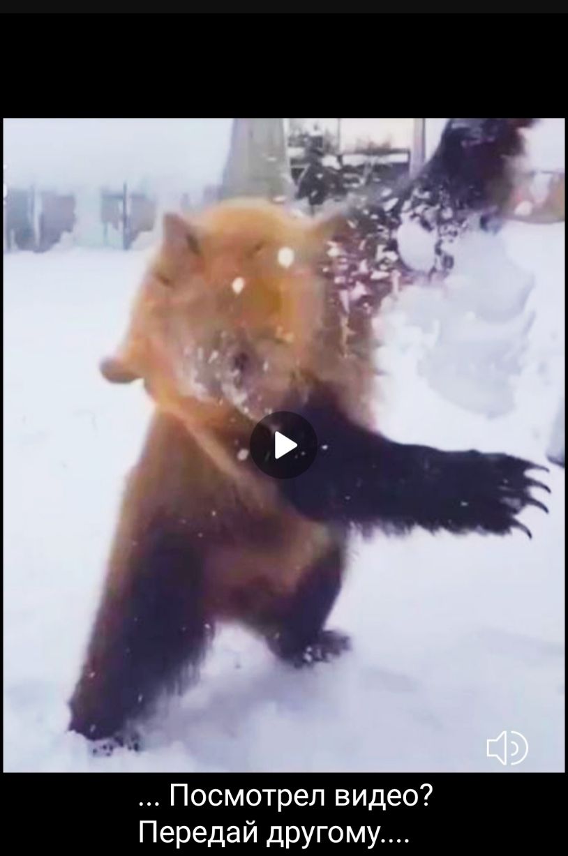 Посмотрел видео Передай другому