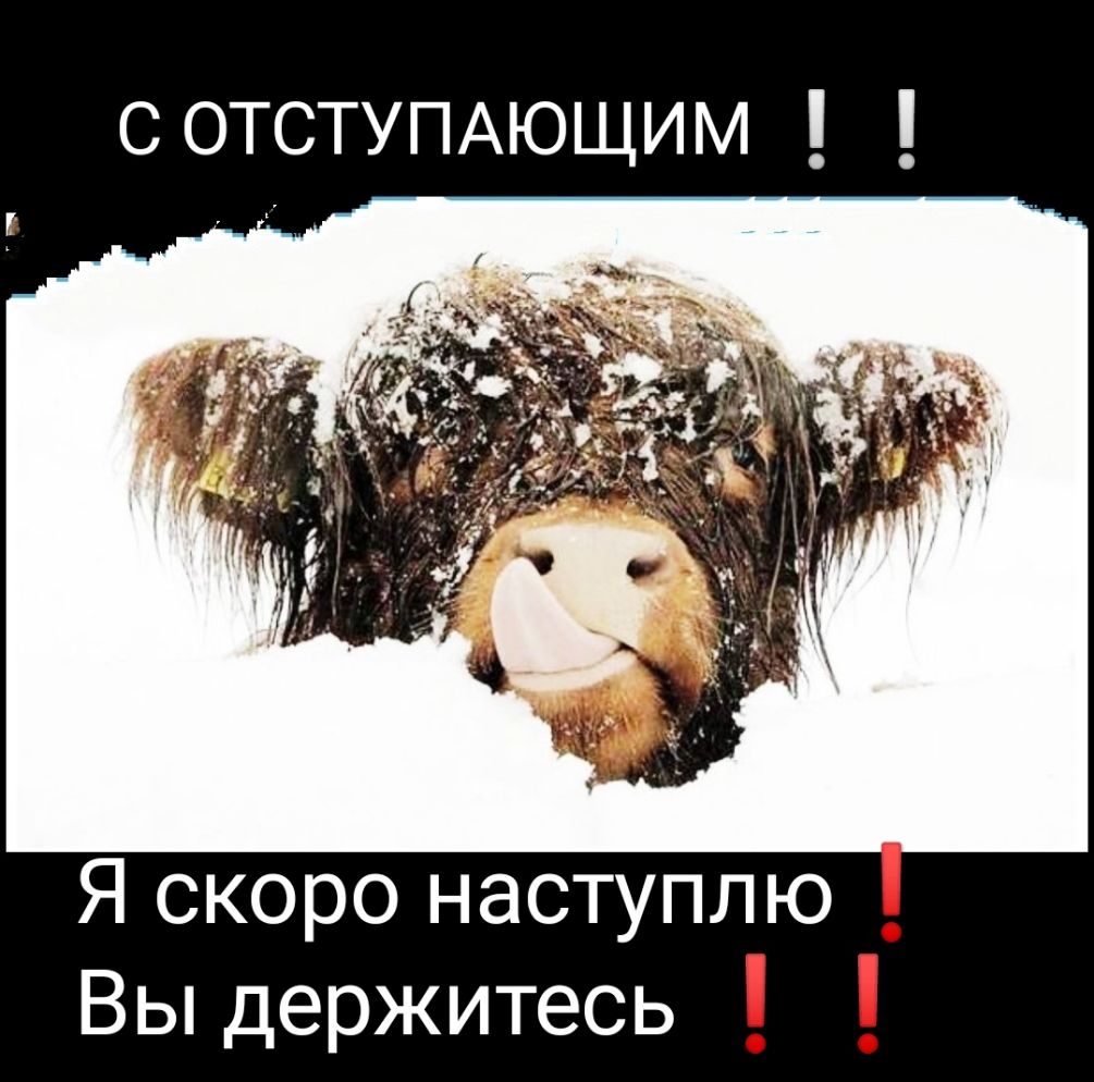 Я скоро наступлю Вы держитесь