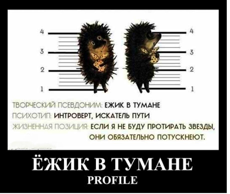 Ч ЕЖИК В ТУМАНЕ ИНТРОВЕРТ ИСКАТЕПЬ ПУТИ ЕСЛИ Я НЕ БУДУ ПРОТИРАТЬ ЗВЕЗДЫ ОНИ ОБЯЗАТЕЛЬНО ПОТУСКНЕЮТ ЕЖИК В ТУМАНЕ РВОПЬЕ