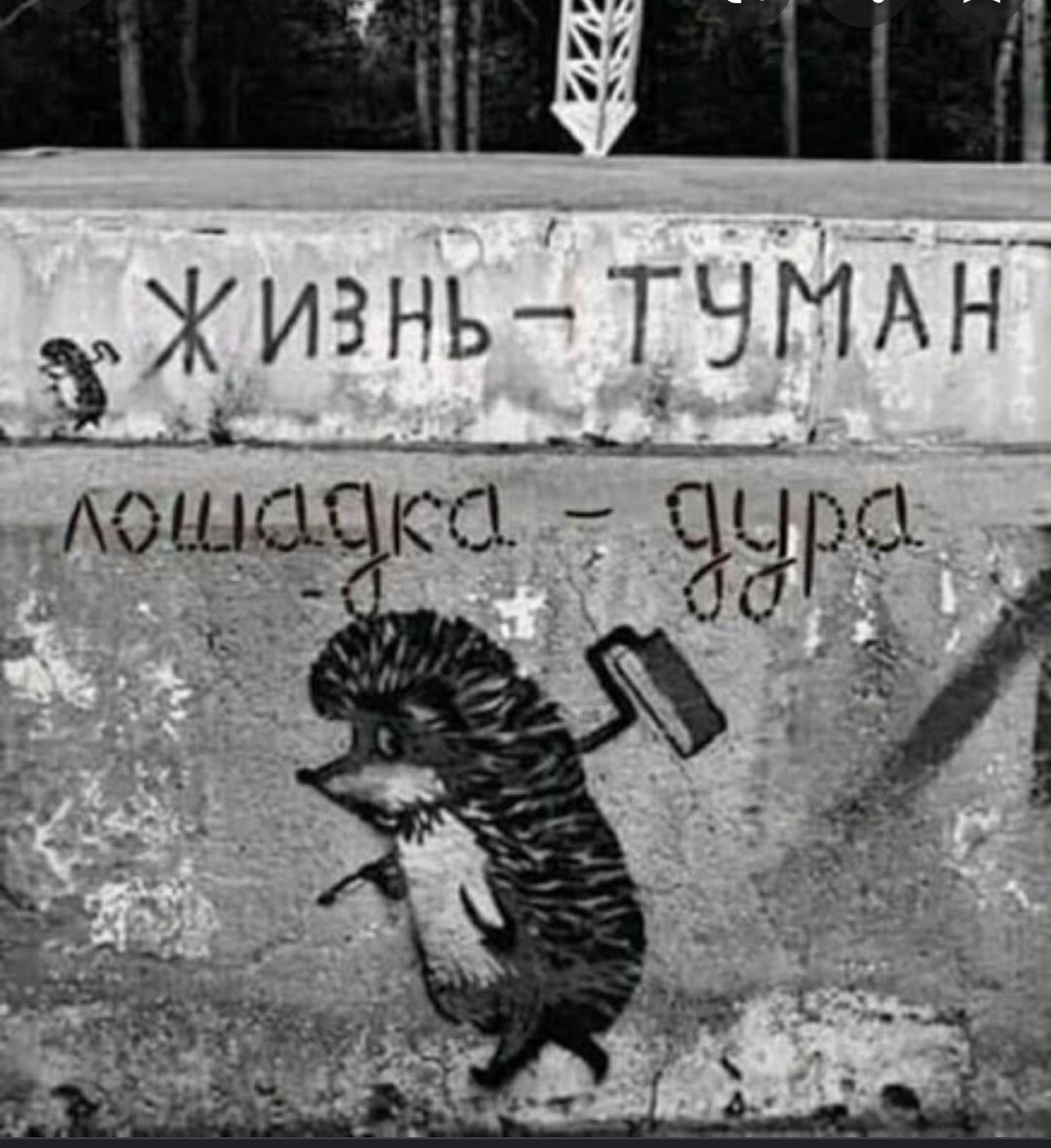 Жизнь тцман