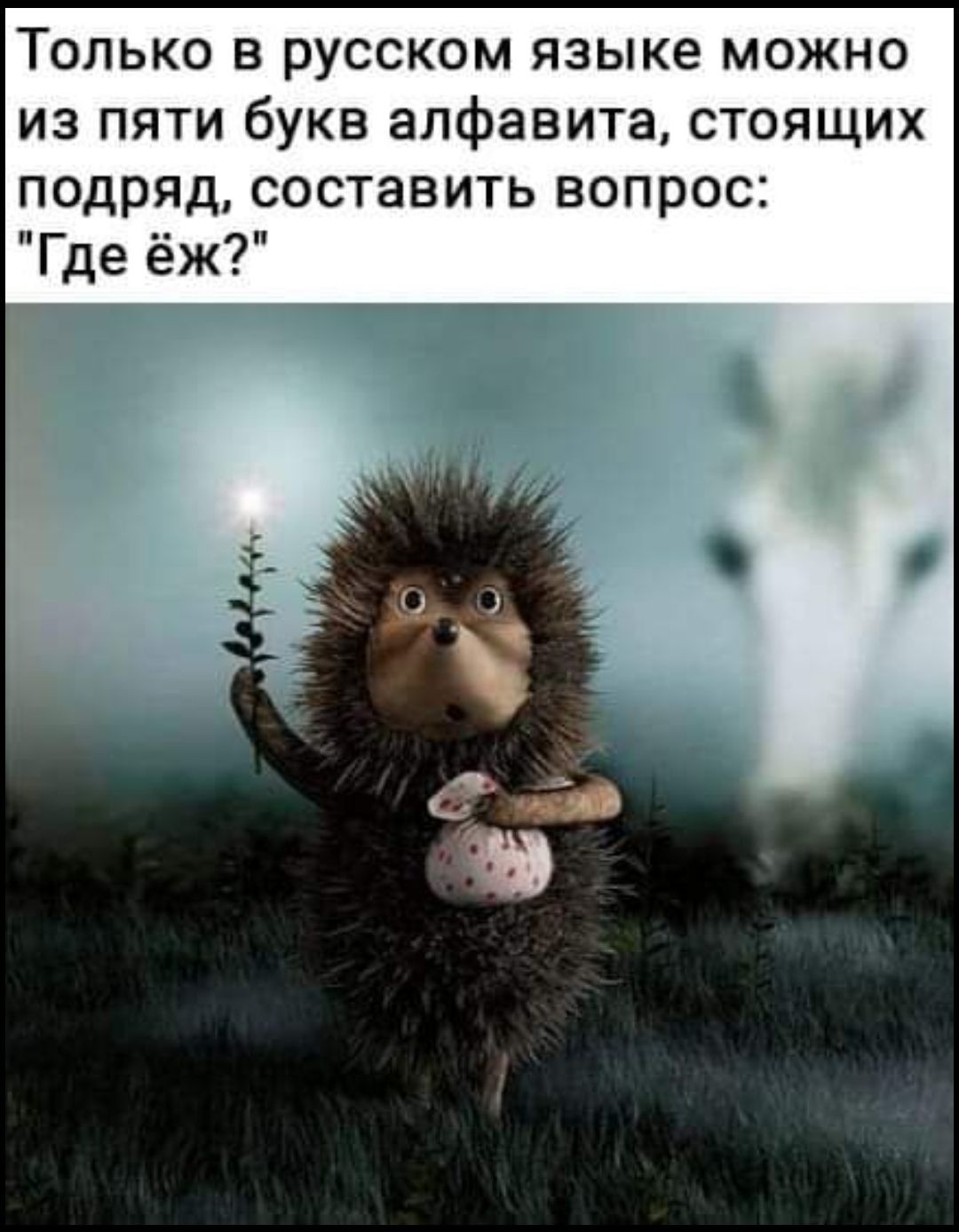 Только в русском языке можно из пяти букв алфавита стоящих подряд составить вопрос Где ёж