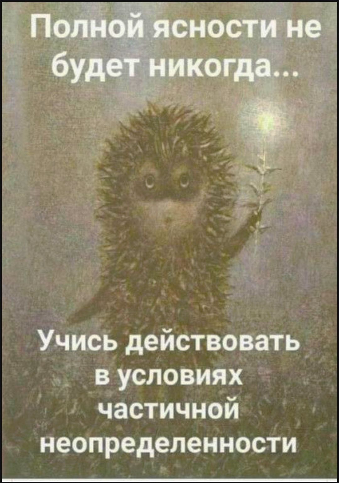 Учись действовать вусловиях частичной неопределенности