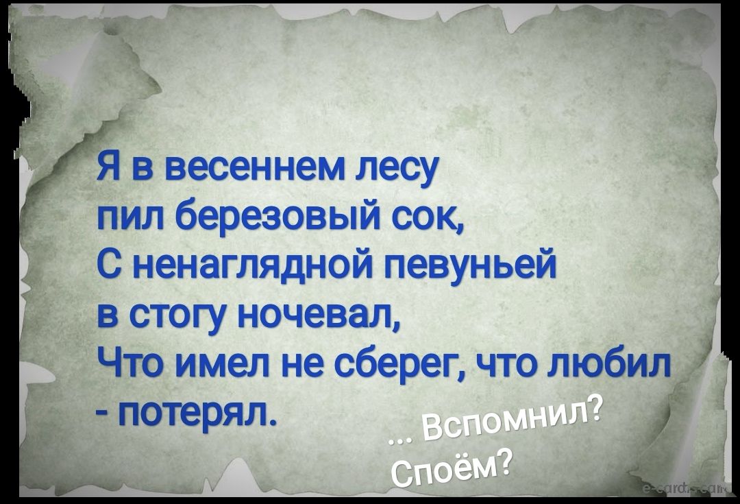 Я в весеннем лесу пил березовый сок С ненаглядной певуньей в стогу ночевал  Что имел не сберег что любил потерял і - выпуск №890652