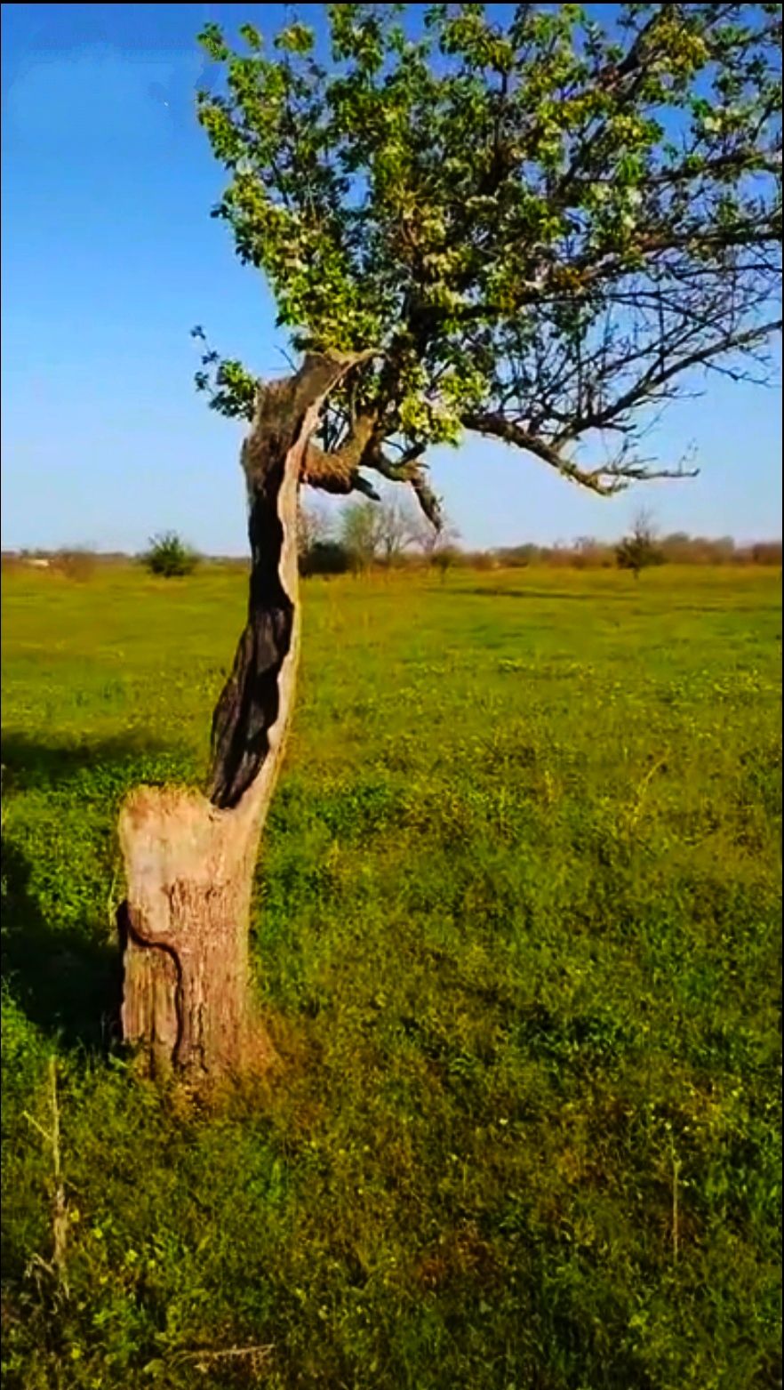 жит пм дд