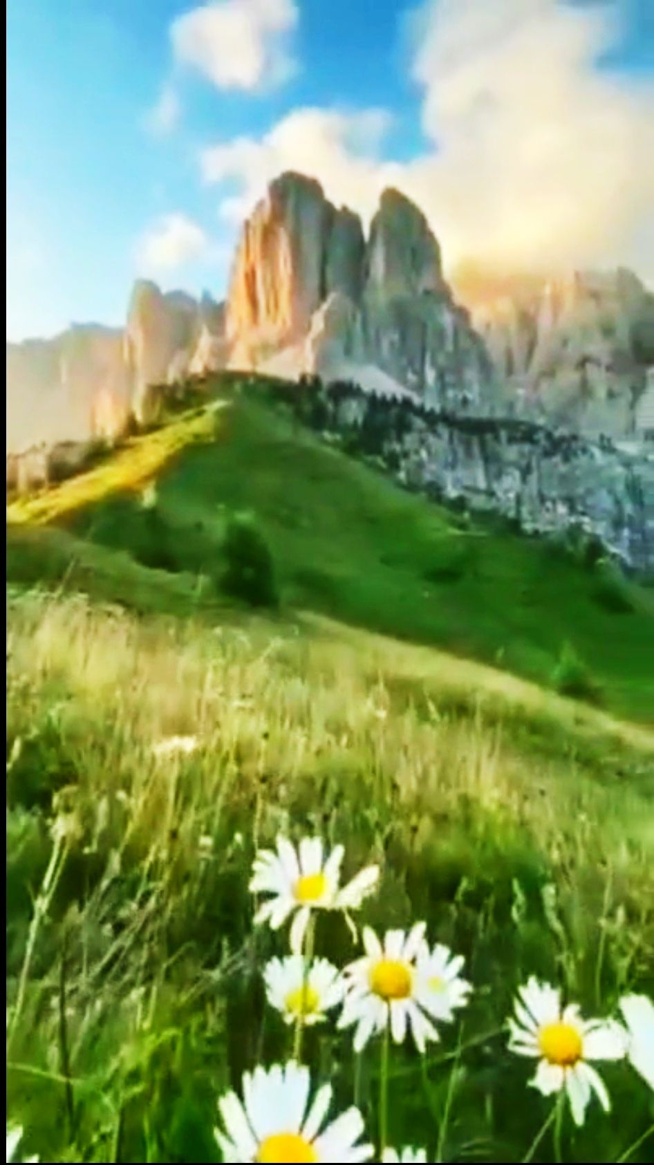 м