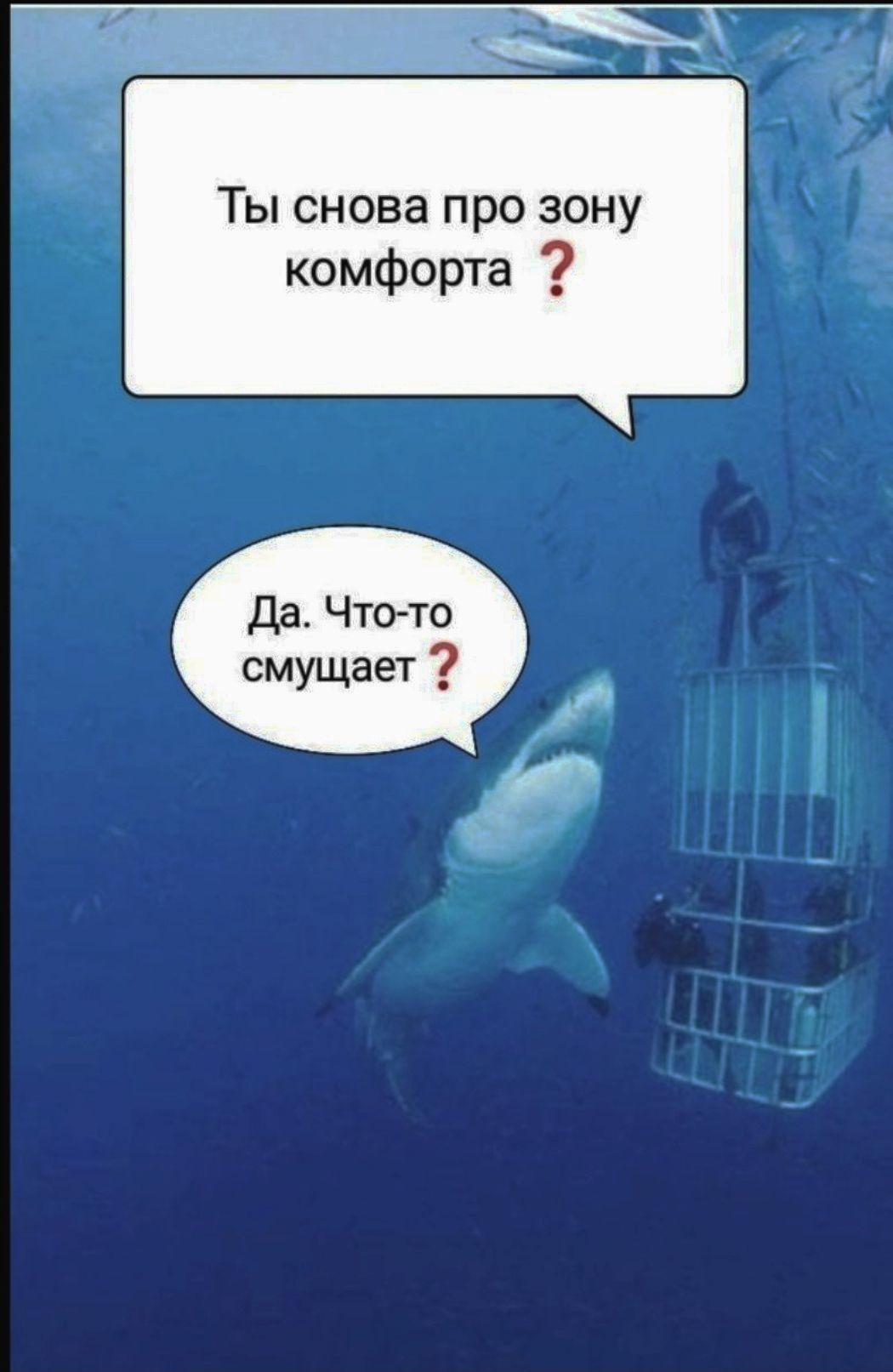Ты снова про зону комфорта Да Что то смущает