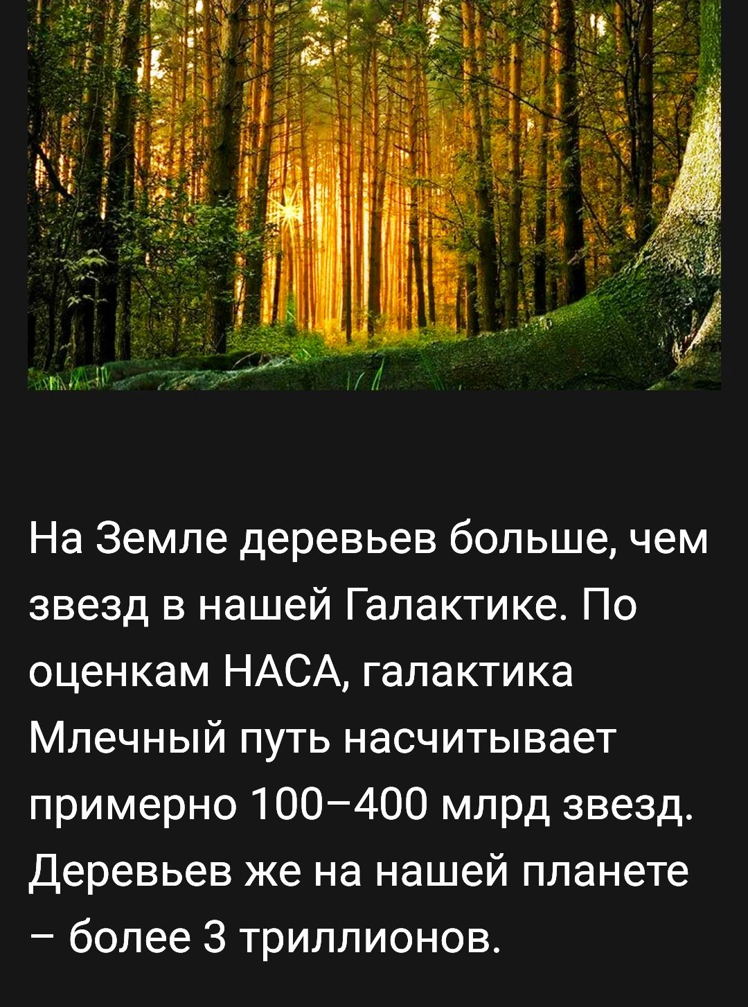 На Земле деревьев больше чем звезд в нашей Галактике По оценкам НАСА галактика Млечный путь насчитывает примерно 100400 млрд звезд Деревьев же на нашей планете более 3 триллионов