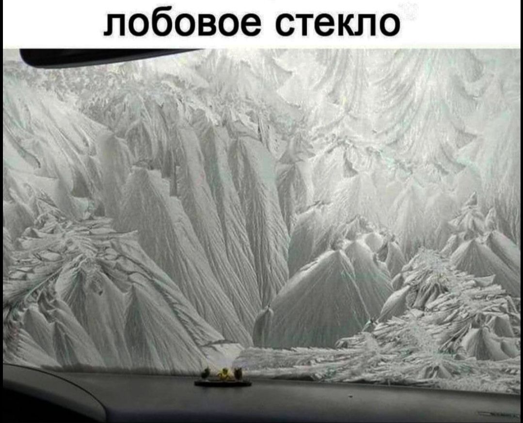 лобовое стекло