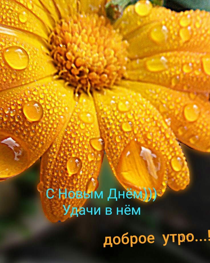 _ сдав днёй Удачи в нём РСЯ 43
