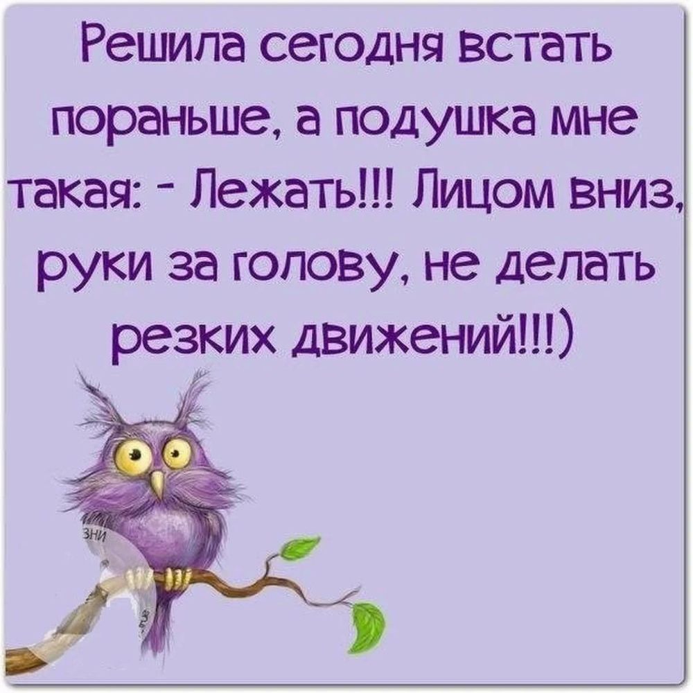 Решила сегодня встать пораньше а подушка мне такая Лежать Лицом вниз руки за голову не делать резких движений в