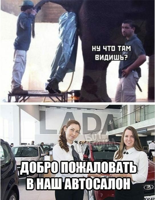 Н ЧТП ТЕМ ЕИДИШЬ