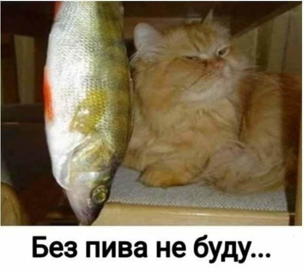 Без пива не буду