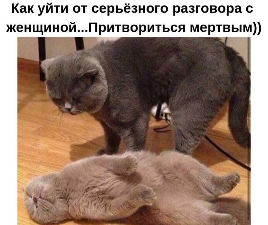 Как уйти от серьёзного разговора с женщинойПритвориться мертвым