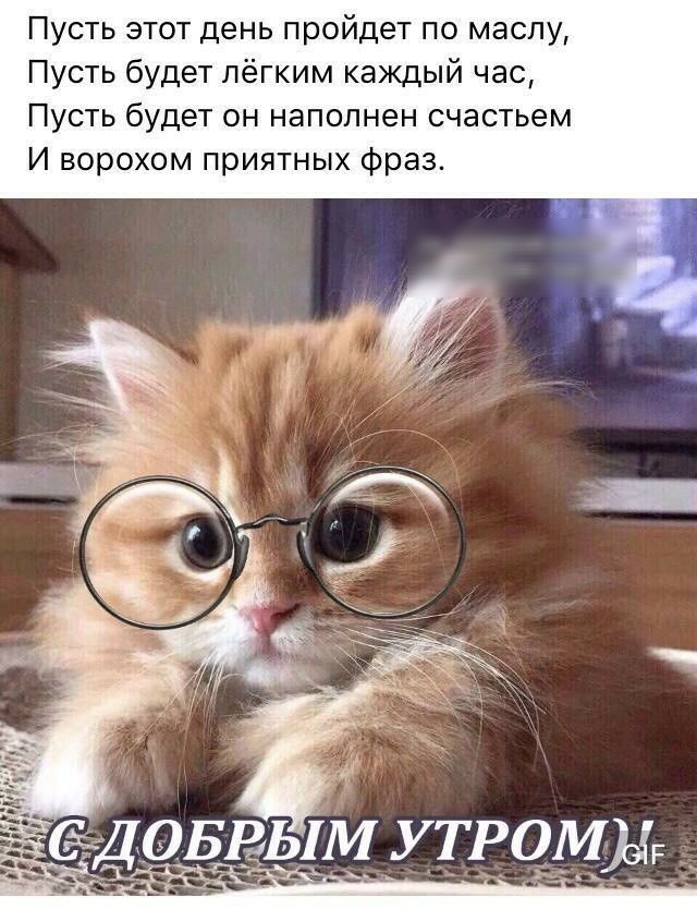 Пусть этот день пройдет по маслу Пусть будет лёгким каждый час Пусть будет он наполнен счастьем И ворохом приятных фраз ёДОБРЕЯМ У ТРОМ ЭЙ