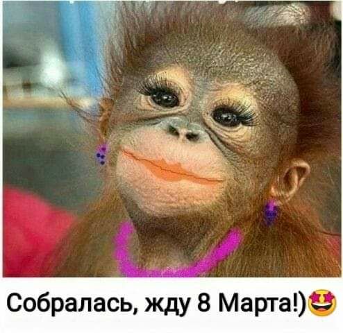 Собралась жду 8 Марта