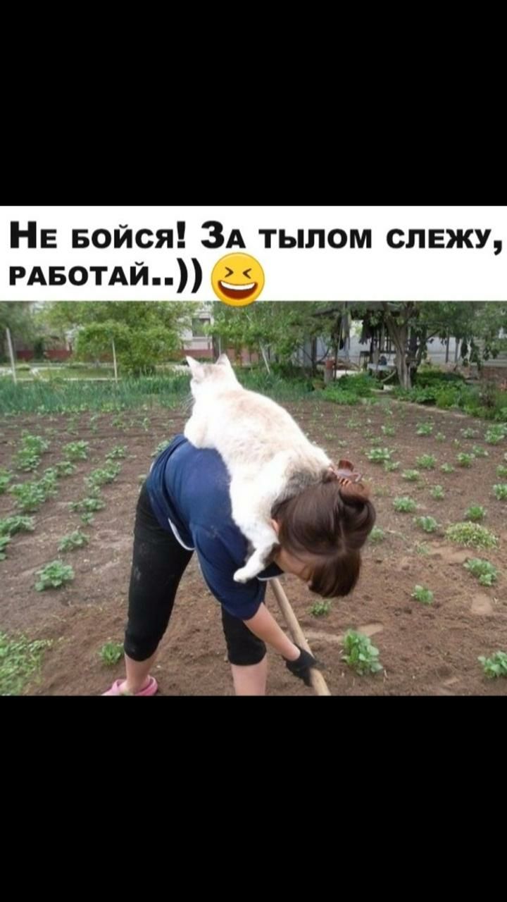 НЕ Бойся ЗА тылом слежу