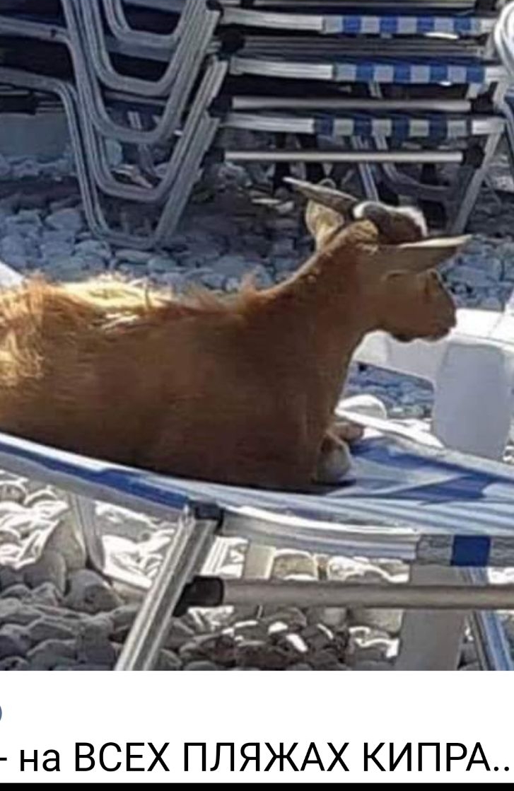 на ВСЕХ ПЛЯЖАХ КИПРА