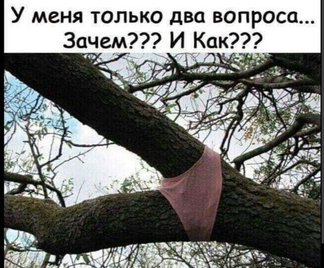 У меня только два вопроса Зачем И __Как 55