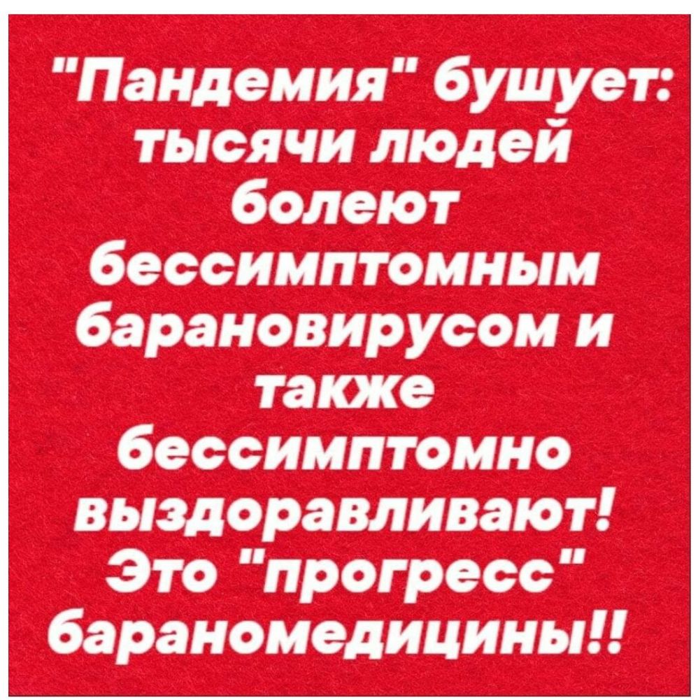Пандемия бушует тысячи людей болеют бессимптомным барановирусом и также бессимптомно выздоравливают Это прогресс бараномедицины