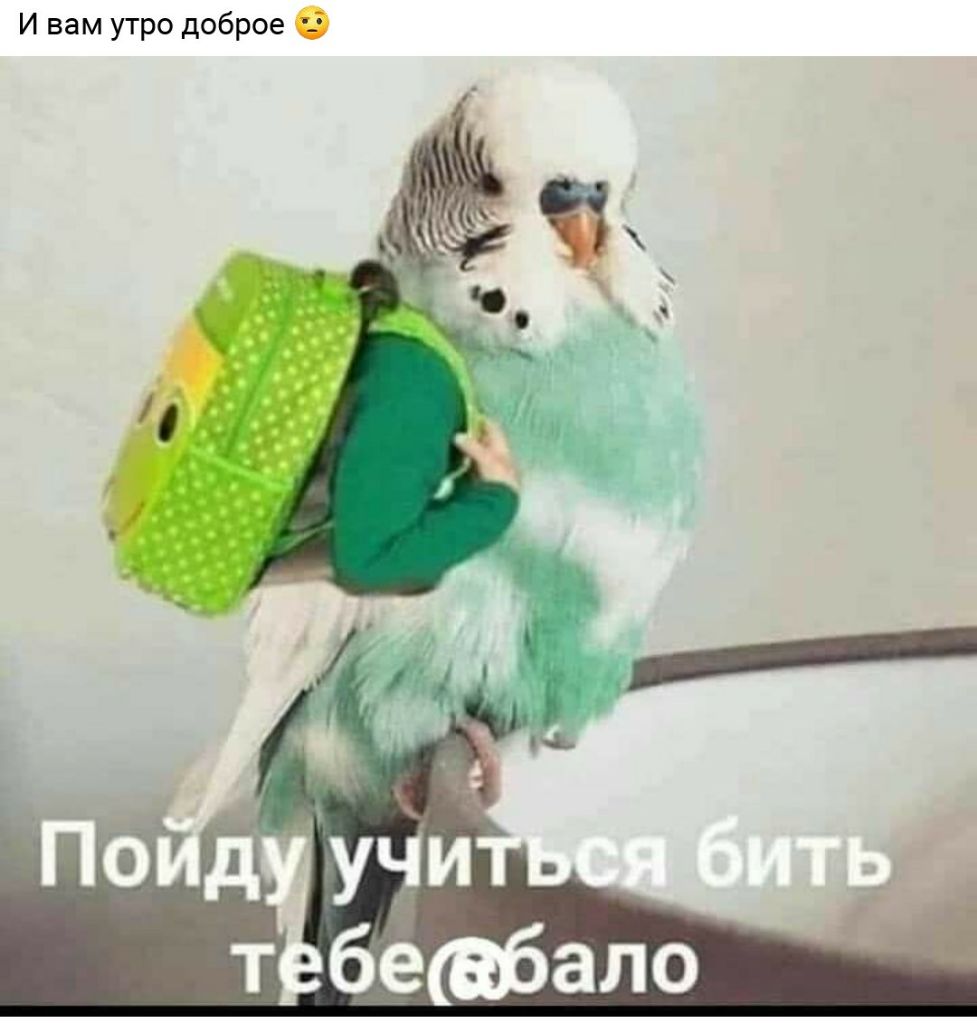 И вам утро доброе тбешбало