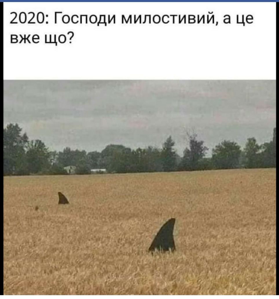 2020 Господи милостивий а це вже що