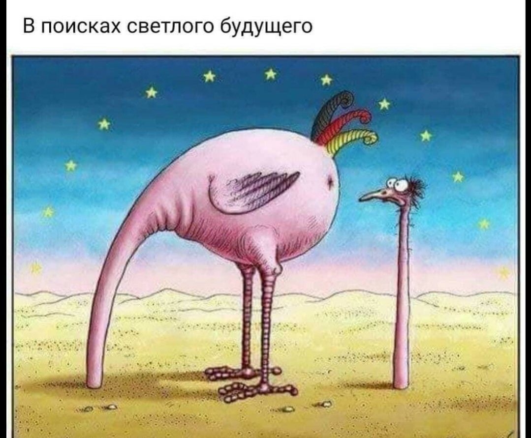 В поисках светлого будущего