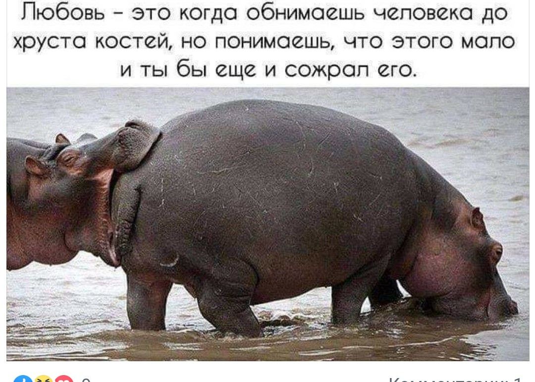 Пюбовь это когда обнимаешь человека до хруста костей но понимаешь что этого мало и ты бы еще и сожрал его