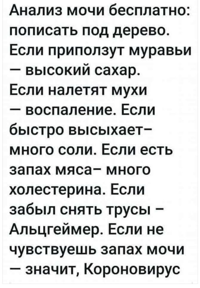 Анализ мочи бесплатно пописать под дерево Если приползут муравьи высокий сахар Если налетят мухи воспаление Если быстро высыхает много соли Если есть запах мяса много холестерина Если забыл снять трусы Альцгеймер Если не чувствуешь запах мочи значит Короновирус