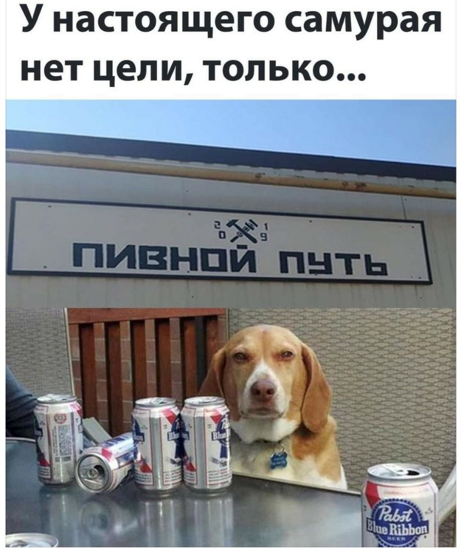 У настоящего самурая нет цели только