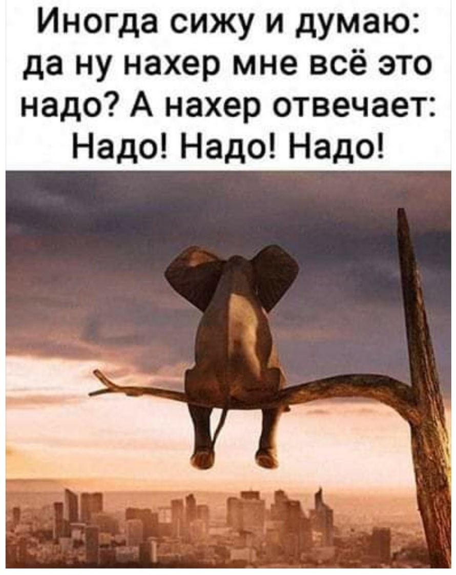 Иногда сижу и думаю да ну нахер мне всё это надо А нахер отвечает НадоНадоНадо