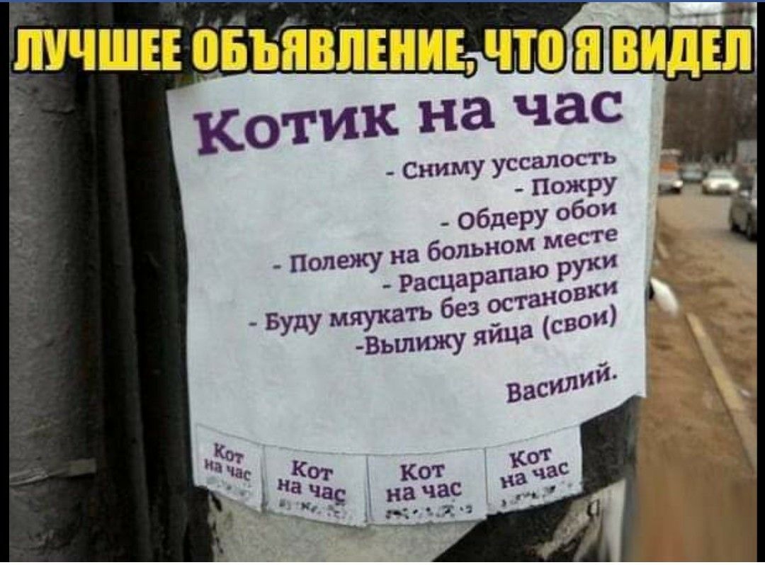 ЛУЧШЕЕ ПБЪПВПЕНИЕ ЧТ Ш видна котик на час ним уссалость С У _ПОЖРУ
