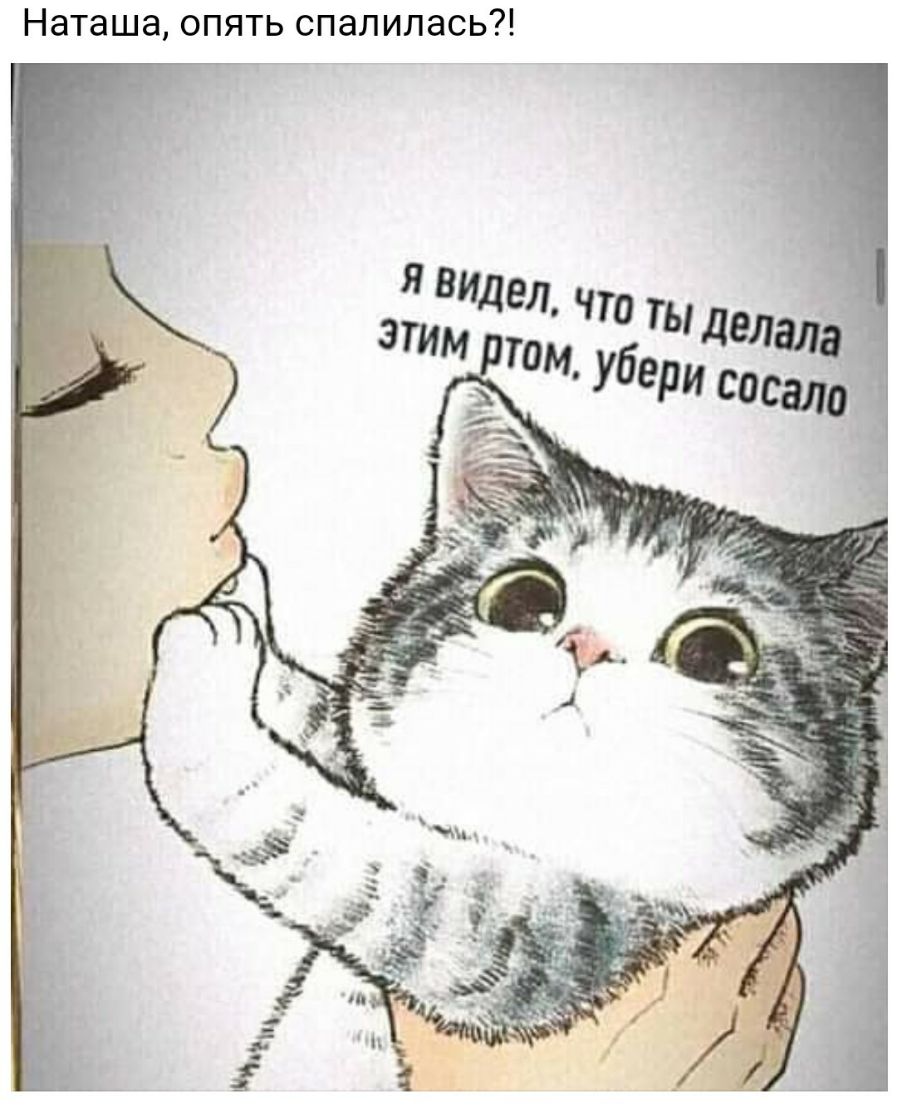 Наташа опять спалилась
