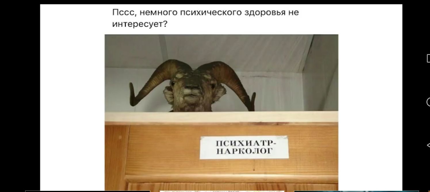 Пссс немного психического здоровья не интересует ННл С