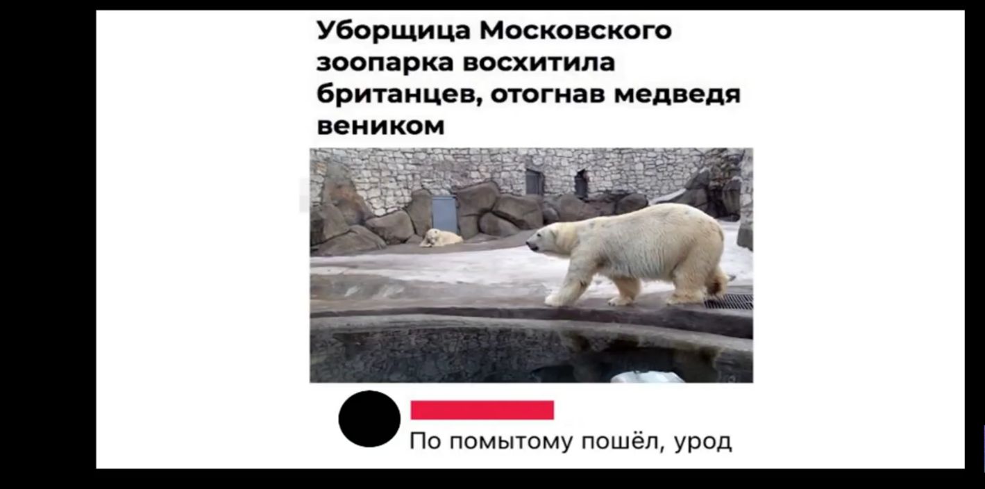 Уборщица Московского зоопарка восхитила британцев отогнав медведя веником По помытому пошёл урод