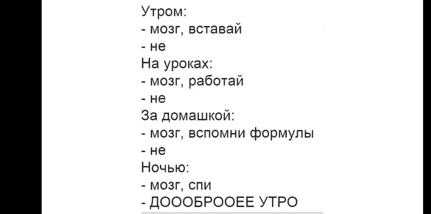 Утром мозг вставай не На уроках мозг работай не За домашкой мозг вспомни формулы не Ночью мозг спи ДОООБРООЕЕ УТРО