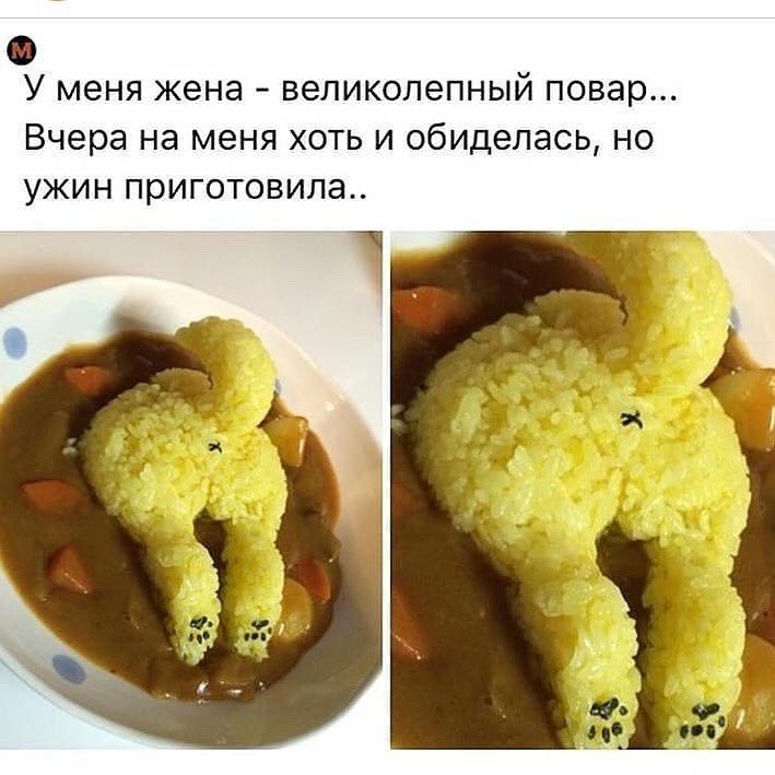 У меня жена великолепный повар Вчера на меня хоть и обиделась но УЖИН приготовила