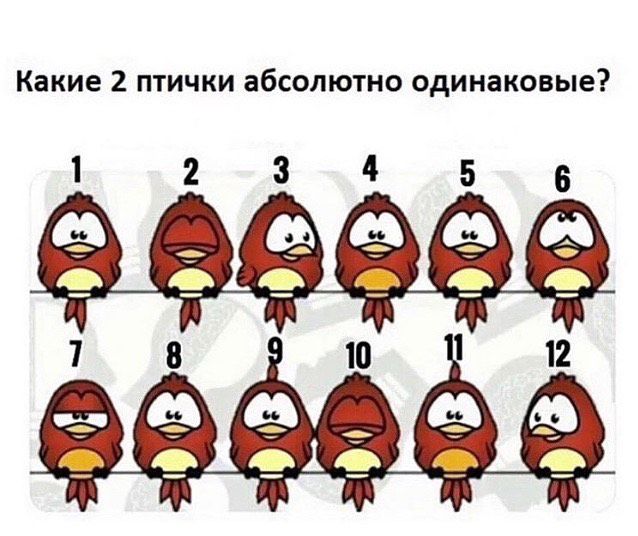 Какие 2 птички абсолютно одинаковые