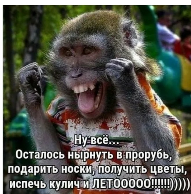 Нувсё _ __ Остгшось нтдуль рйіь подарйіБ носки пользведьц испечпъаШпичіи ЛЕТЁ1