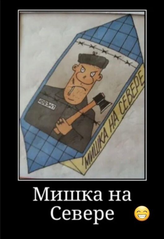 Мишка на Севере