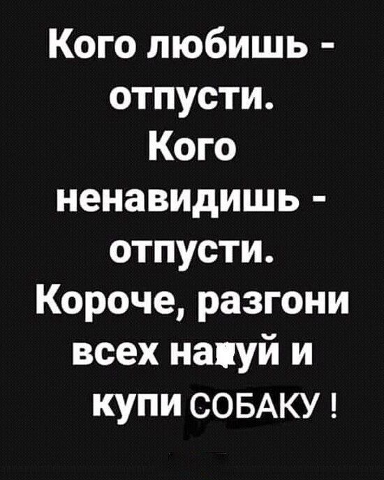 Кого любишь отпусти Кого ненавидишь отпусти Короче разгони всех напуй и купи СОБАКУ