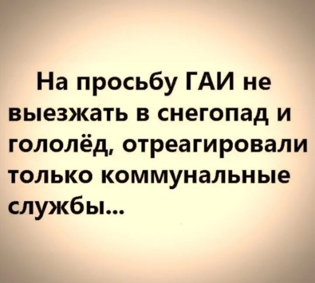 На просьбу ГАИ не выезжать в снегопад и гололёд отреагировали только коммунальные службы