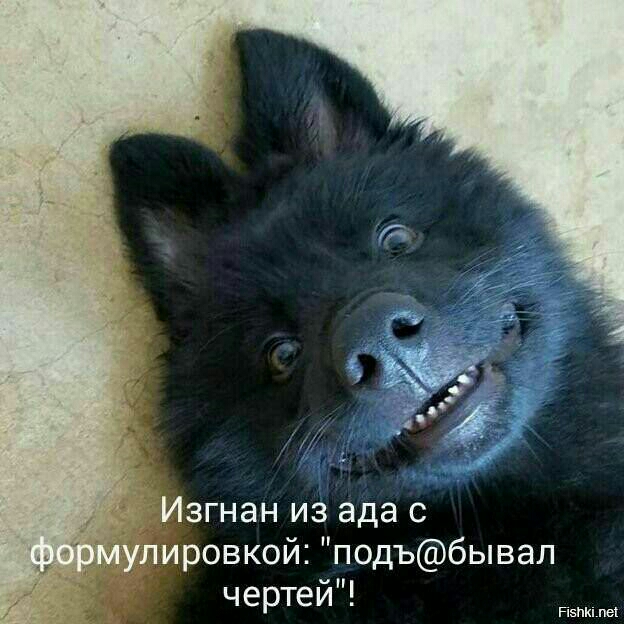 згнан из ада с ровкой подъбывал чертей пята пы