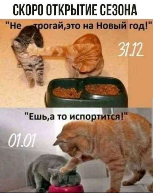 ОКОРО ОТКРЫТИЕ СЕЗОНА