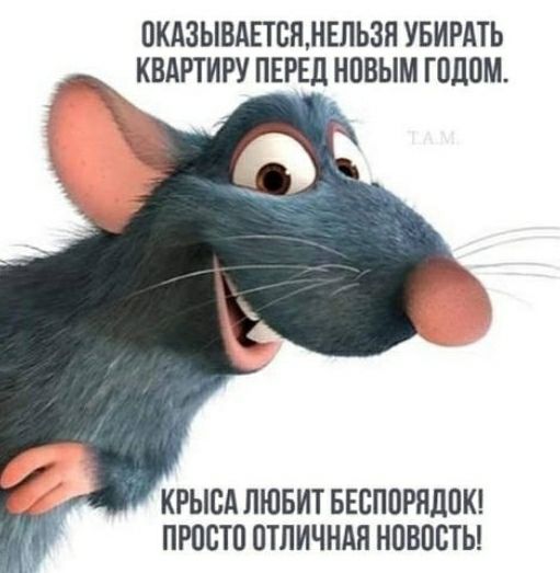 ОКАЗЫВАЕТЕЯНЕПЬЗЯ УБИРАТЬ КВАРТИРУ ПЕРЕД НОВЫМ ГПДПМ КРЫСА ЛЮБИТ БЕСППРЯЦОК ПРОСТП ПТЛИЧНАН НПВПВТЬ